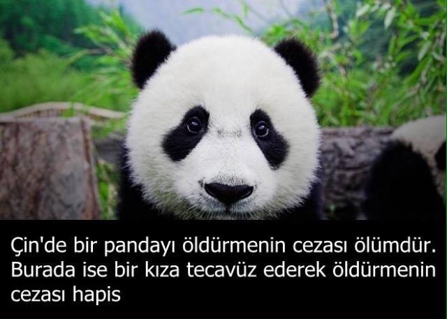 pera_ang's tweet photo. Adaletin ülkeler arasındaki farkı; http://t.co/KegbpwxsOj