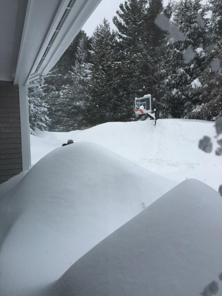 View image on Twitter