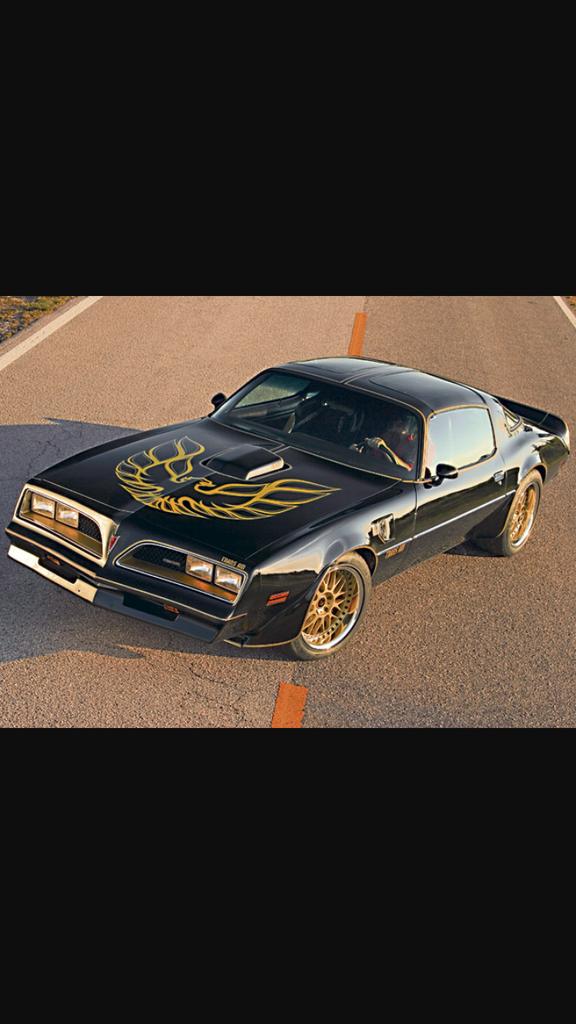 Muscle Cars tweet media