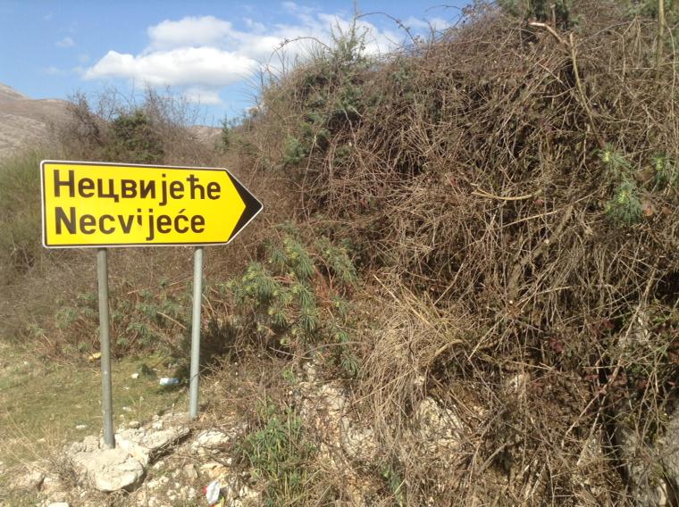 shpary's tweet photo. #ovojeBiH @OvoJeBiH #BiH #Necvijeće http://t.co/U73O2WJHio