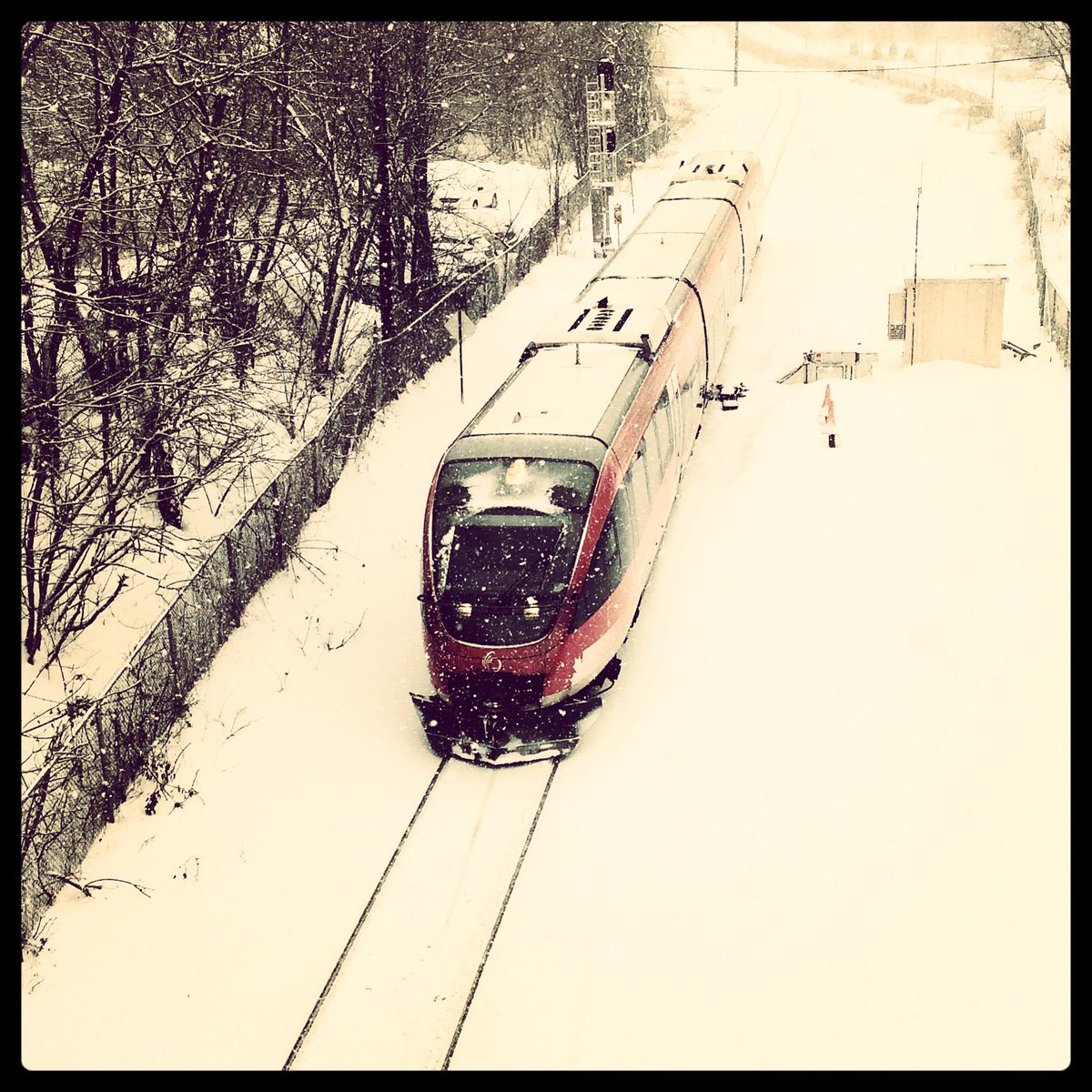 KaylaMeyer613's tweet photo. a snowy O-Train pic just in time for the #winterludeselfie contest! #wintermarket #ottcity #Hintonburg http://t.co/4aLn1JDURG