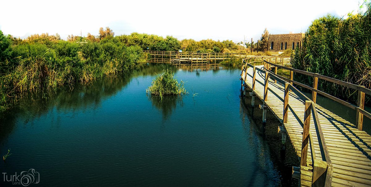 TurkLens's tweet image. Heaven on earth..
#AzraqWetlandReserve #Azraq #Jordan #Amman #VisitJordan #ShareYourJordan #GoJordan #الأزرق