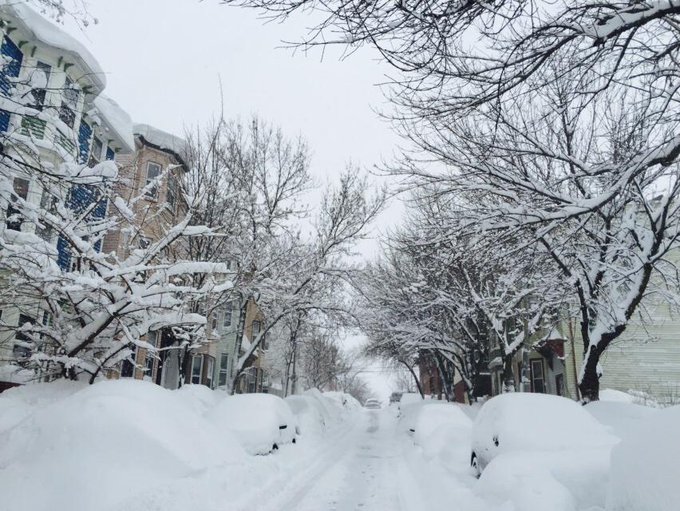 View image on Twitter