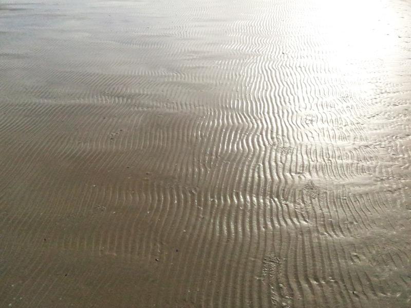 Senigallia tweet media