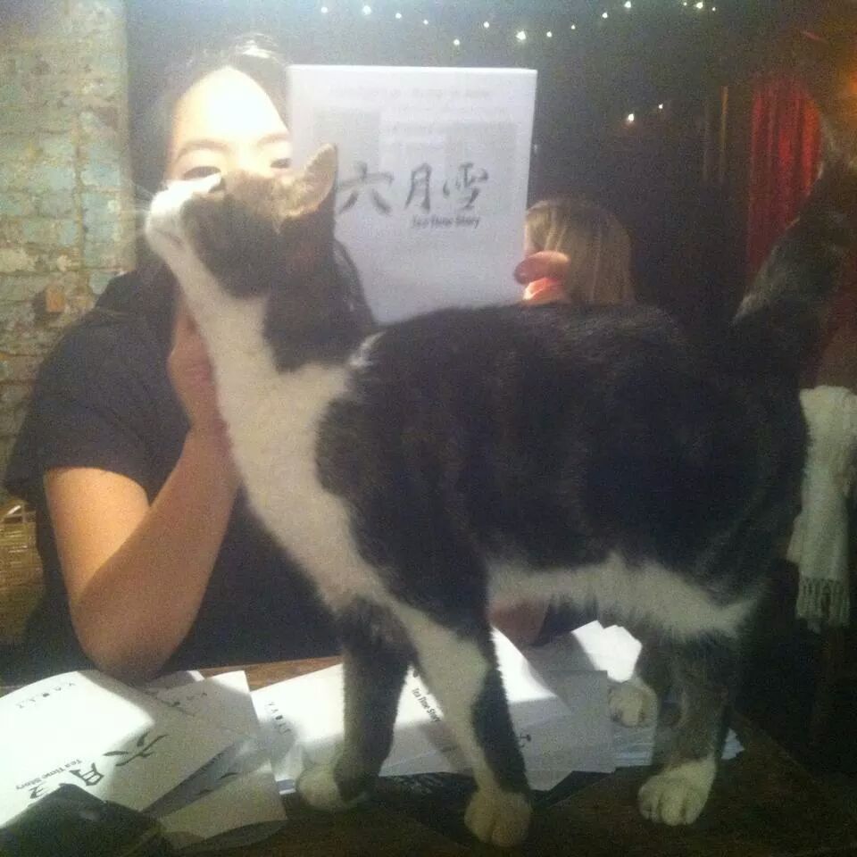 ornamentalT's tweet photo. This cat LOVES #TeaTimeStory Last show tonight @Katefarrowuk @PelagieMay @heather_lai @VAULTFestival @Alicewonderbug http://t.co/5VgziYDOBu
