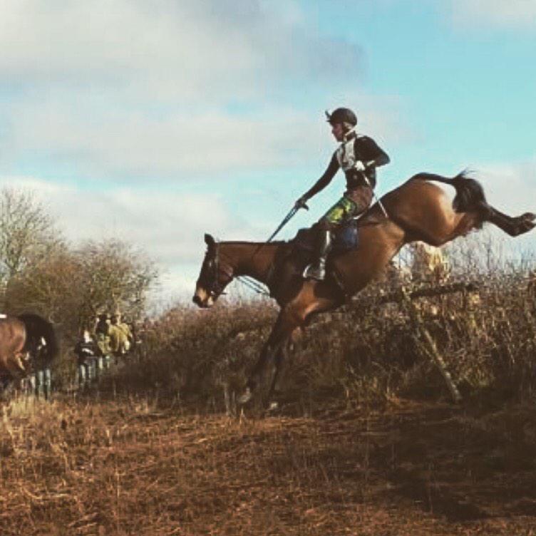 MilesSeston's tweet photo. She is home safe and sound! It's a good job the mare knew what she was doing!! #Clearround #Goldenbutton http://t.co/8e6dn8Ceg7