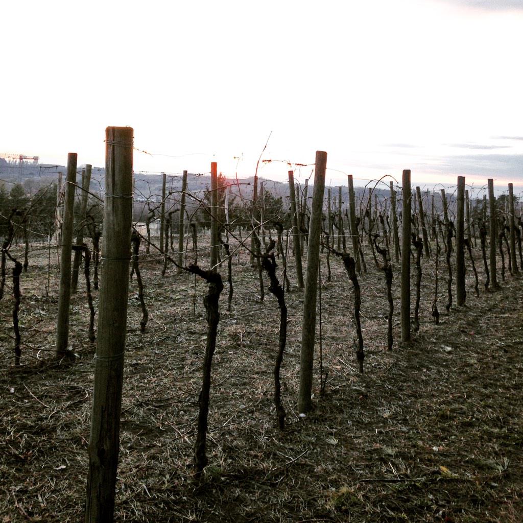 bertoli_96's tweet image. #Spessa