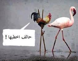   غسق الليل (@www125048) on Twitter photo 