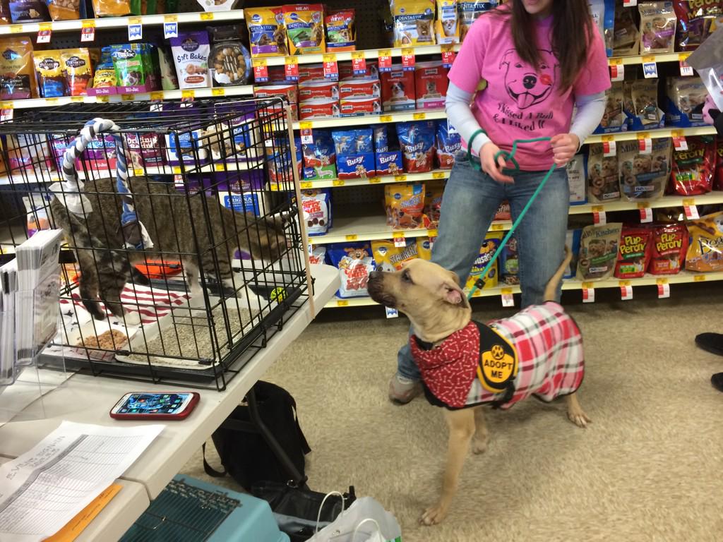 mervy88's tweet photo. Find true love PetSmart Abingdon #eastpetm #inspiredbypets http://t.co/RZ2ajZUt2P