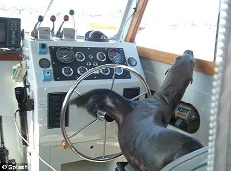 casealion's tweet image. ART! ART! ART!