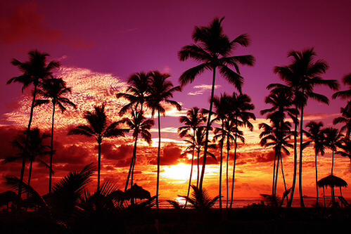 KickAssQuotes1's tweet image. There's so much of the world that I wanna see ✈️