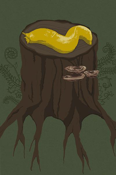 geekette4489's tweet image. One of my favorites I did for LP, the Banana Slug!