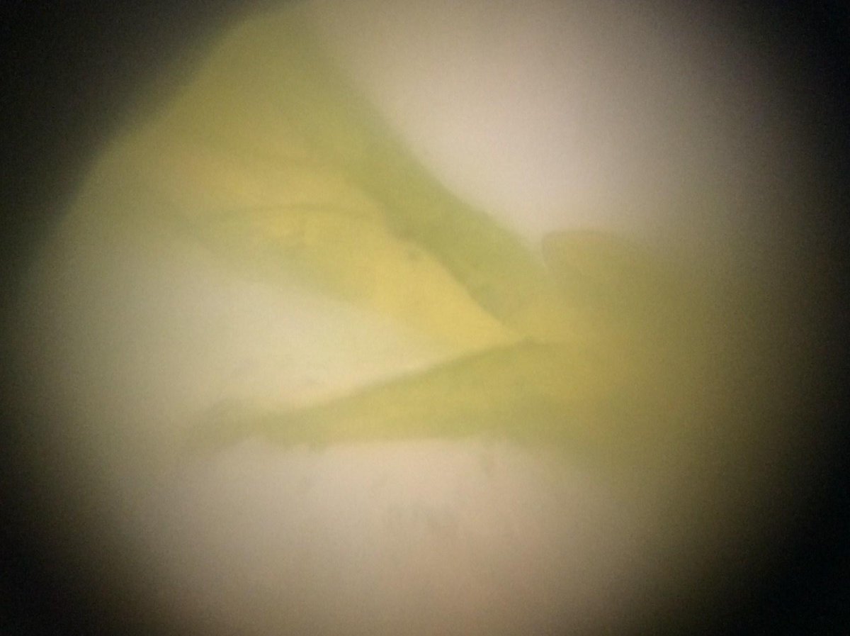 FoldscopeATX tweet picture