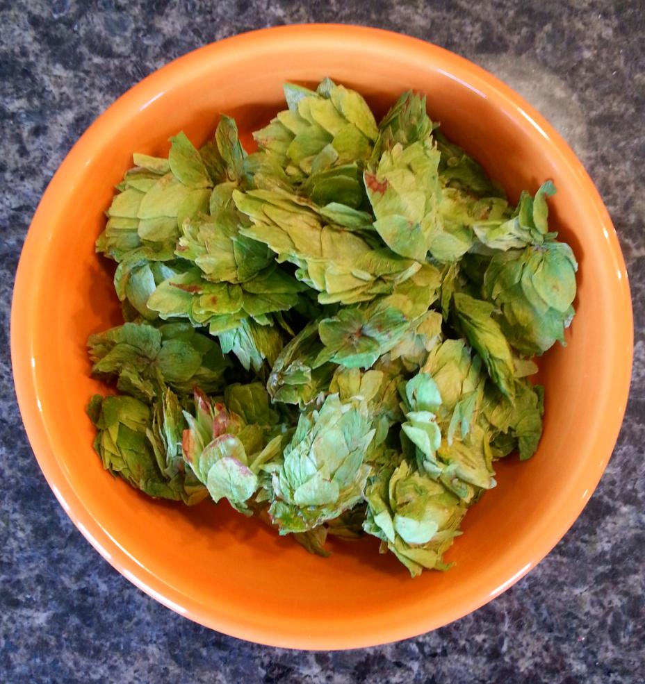 We are officialy ready for <a href="/SteinsVinesSC/">Steins and Vines SC</a> next weekend! Come by our booth to check out our Iowa grown hops! #Hops