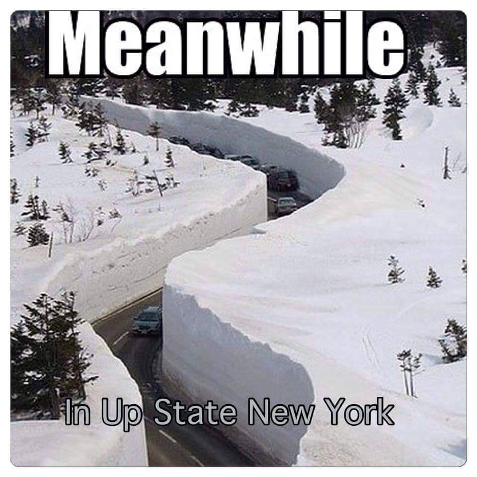 46nascargirl's tweet image. Damm #snowproblems