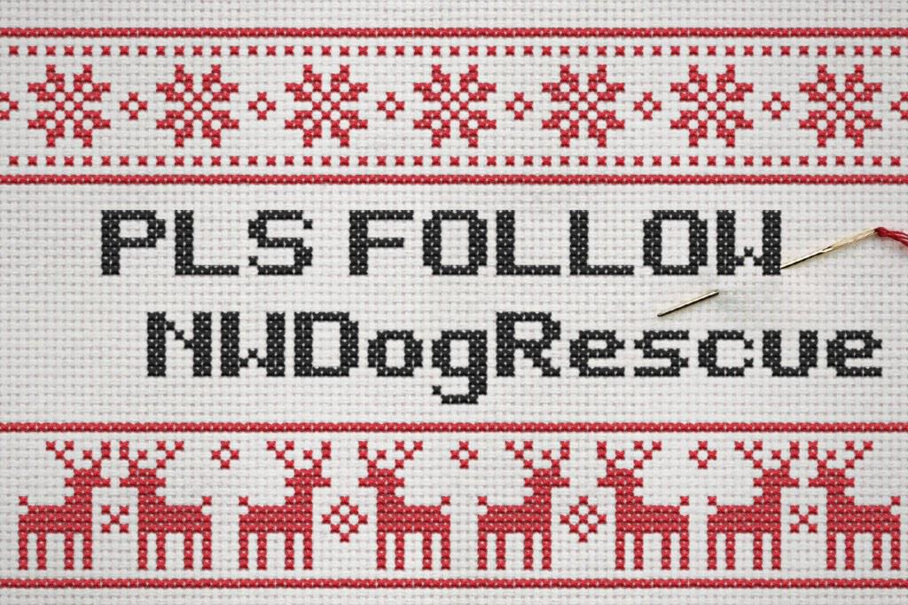 TurnerSis1's tweet image. Tweeting issues this PM ! No signal then data allowance used up so now sorted so let&apos;s find fab homes @NWDogRescue  x