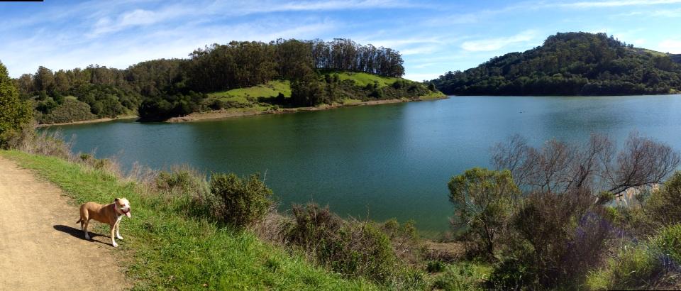 bodabean's tweet photo. 10 mile runs around Lake Chabot ain't nothing for Speeds &amp; I ☀️ http://t.co/Ykzr0G9zPO