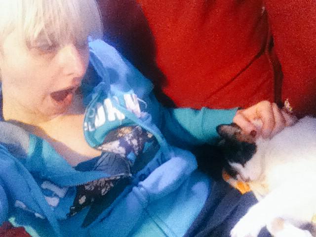 ILoveLeftyLucy's tweet photo. Anyone who has met Jax will understand the look of shock on my face. #demoncatfromhell #cuddletime #cat #cats http://t.co/T3ZoXAxw5a