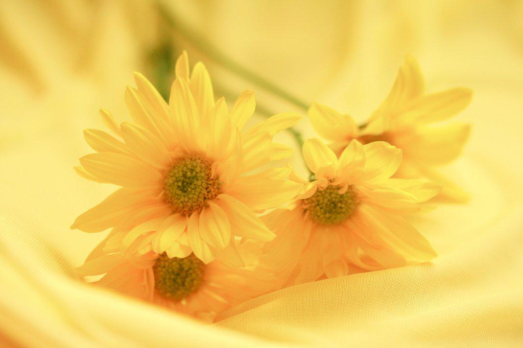 dct_ihjc's tweet photo. @charris197  good morйing♡"ARIGATO~":.* ♡(°´˘`°)/ ♡ *.: http://t.co/xzLMF5aAPF