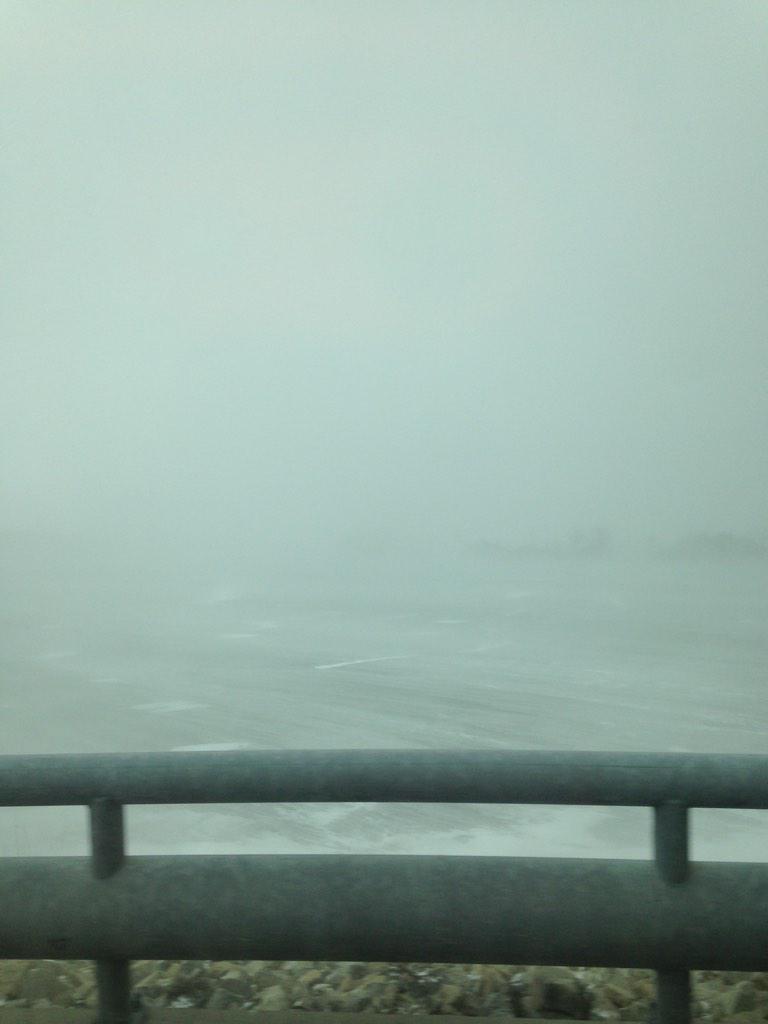 TakingPhoto's tweet image. Windy.