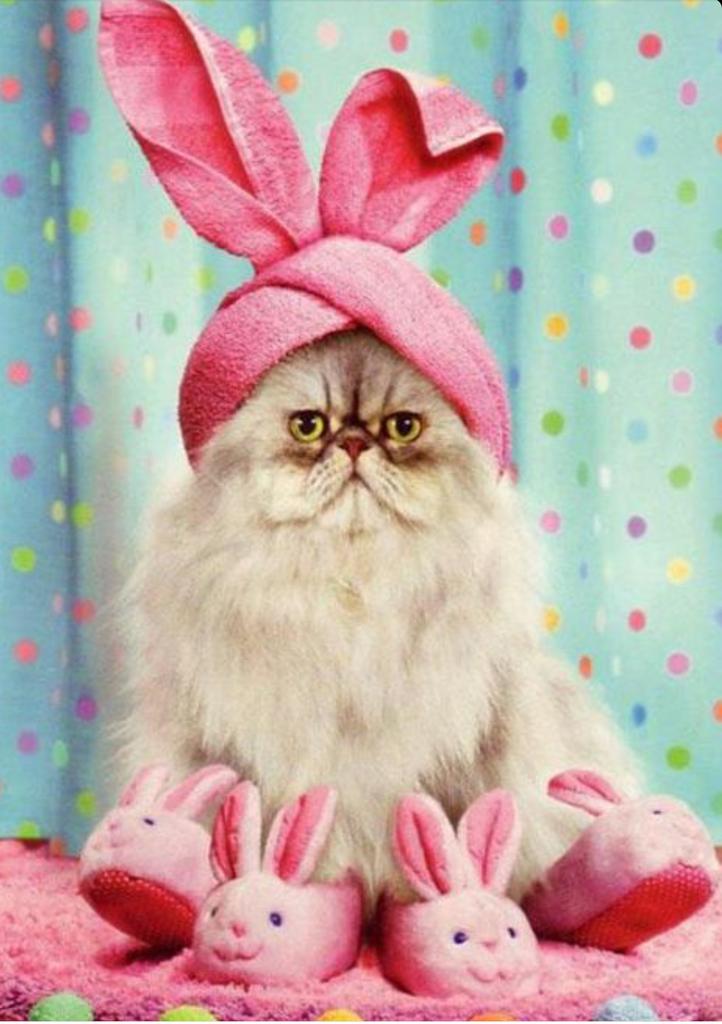 Just chillin before another busy week....