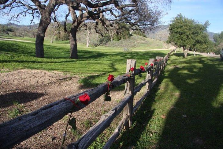 B96aiWTIAAApaYS.jpg:large