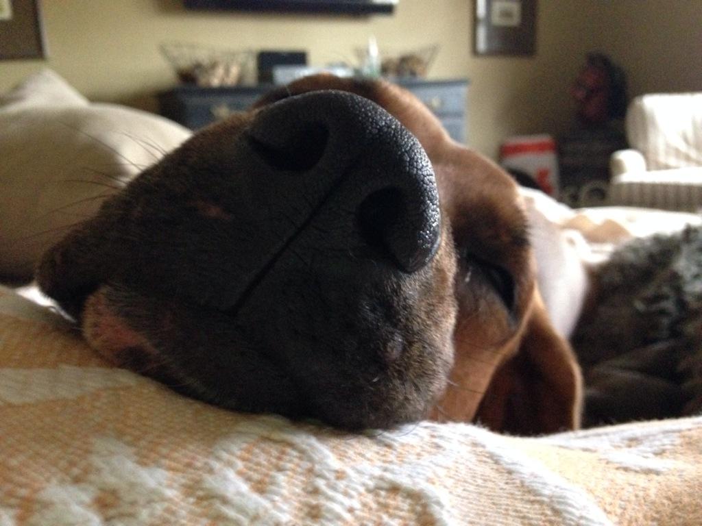 emilyloidwilkins tweet media