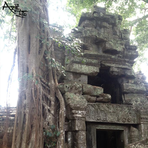 Ta Prohm (Rajavihara) is vooral bijzonder door de bomen die compleet vergroeid zijn met het complex. #cambodja