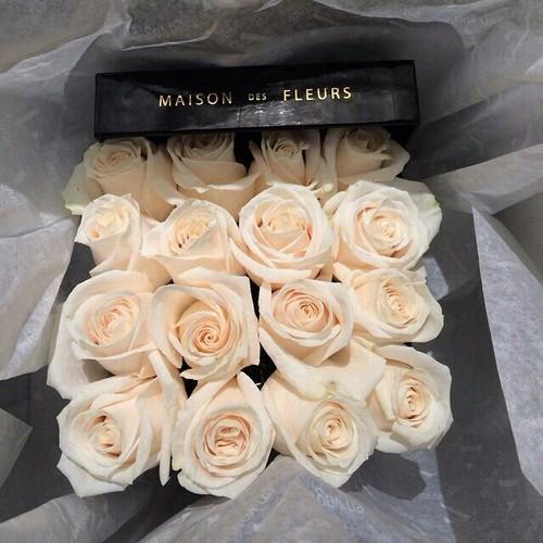 RepudiateWanton's tweet image. [Leaves these at @BlatantTattler’s doorstep, strolling back towards my Porsche to bring the rest of her presents.]