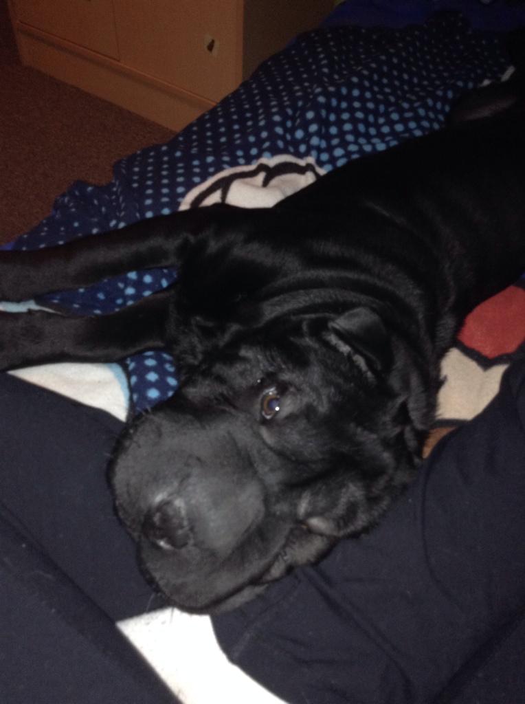 I've got the cutest baby in the whole wide world. 😍