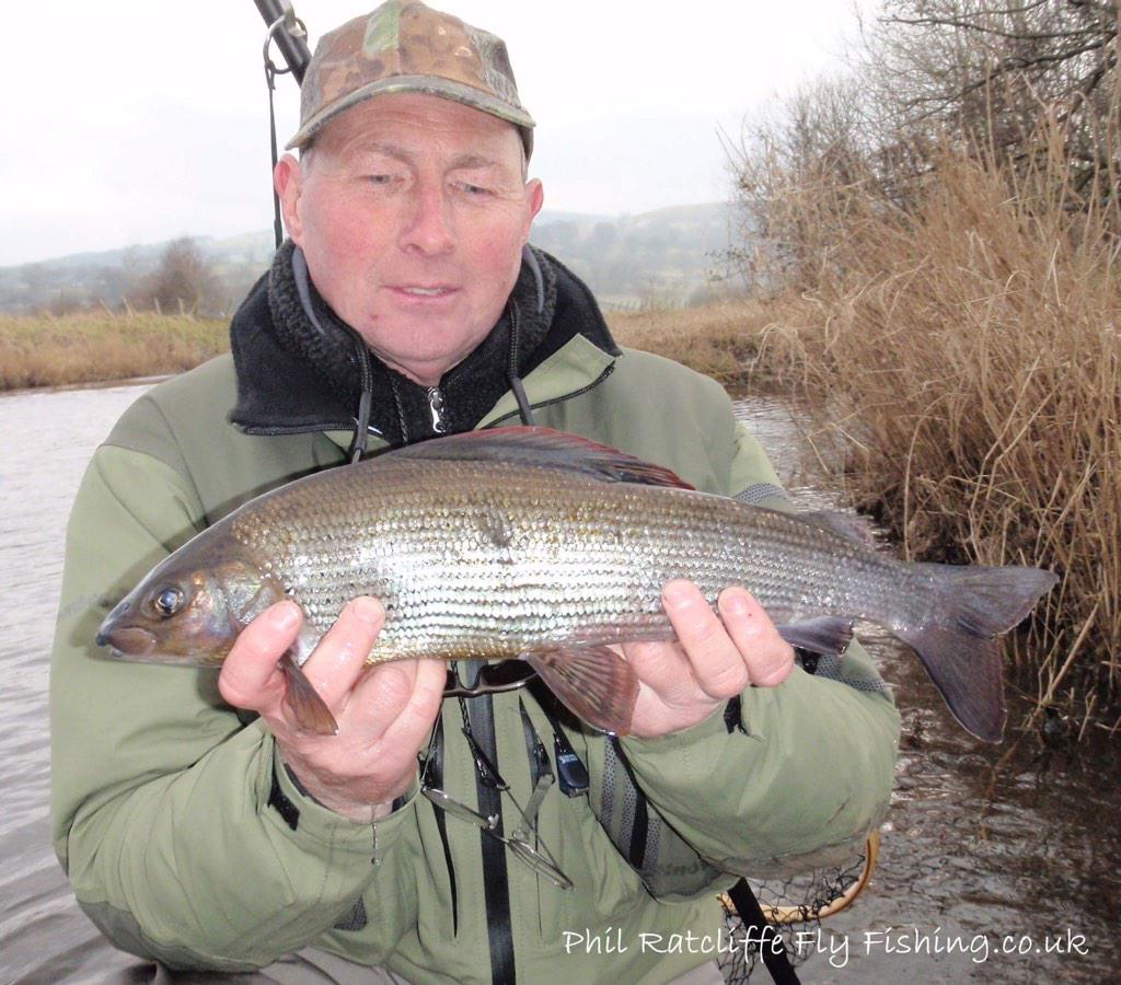 Phil Ratcliffe (@philflyfishing) on Twitter photo Another happy client on the Welsh Dee! @welshgamefish <a href="/GRT_Updates/">Grayling Res. Trust</a> <a href="/ProGuideFinders/">Pro Guide Finders</a> Another happy client on the Welsh Dee! @welshgamefish <a href="/GRT_Updates/">Grayling Res. Trust</a> <a href="/ProGuideFinders/">Pro Guide Finders</a>