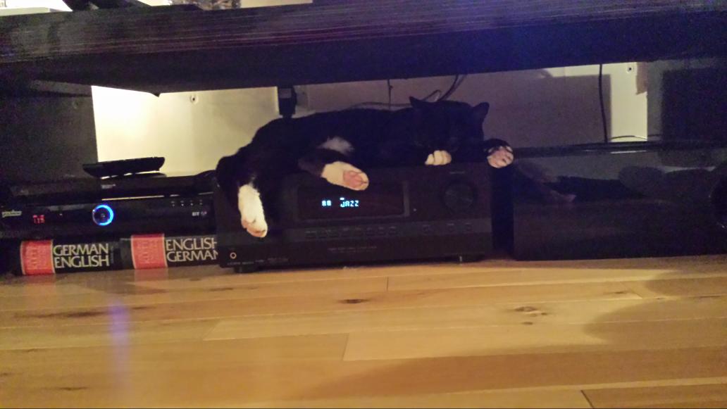 Things have got worse.... He looks far too comfortable !