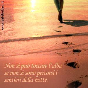 Ilaria tweet media
