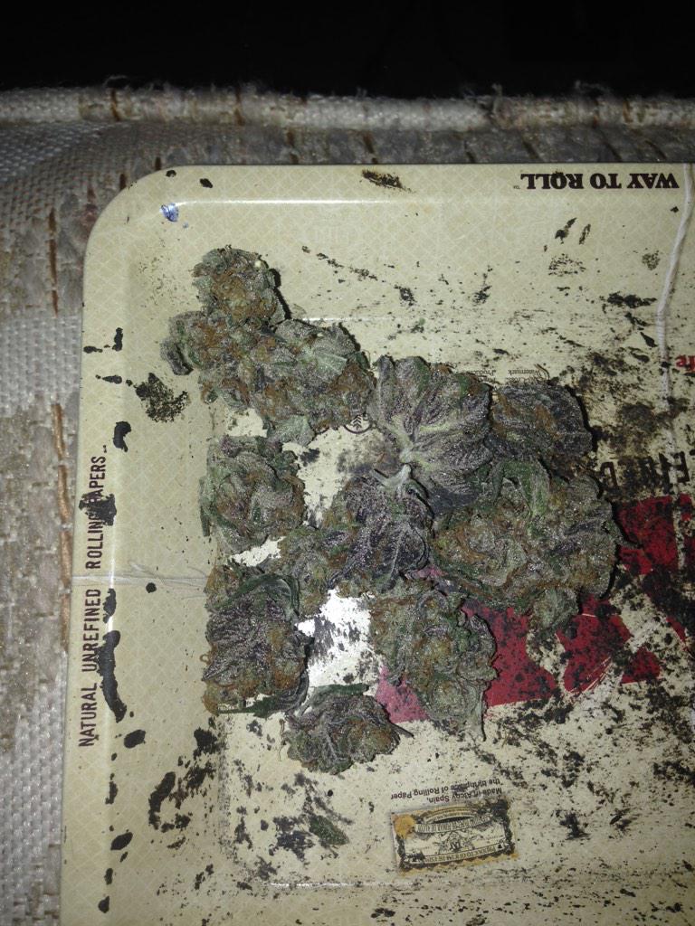 Dpopple13's tweet photo. Smokin on that strong #stoned http://t.co/gmYp1L9p1i