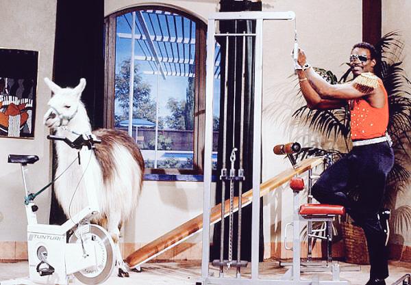 paytonsun's tweet photo. I'm just wondering how they didn't show this on 40 years of sports on #SNL40. @walterpayton as @michaeljackson. Lol! http://t.co/ThDK2l93m2