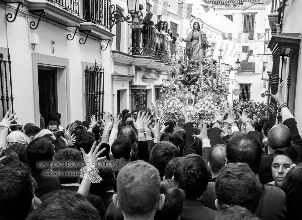 lalocuracofrade's tweet photo. Ya en el Blog las fotos de la extraordinaria de la Asunción de Cantillana http://t.co/QHnkTI3zkq #asuncioncantillana http://t.co/pPSp8pNwYA