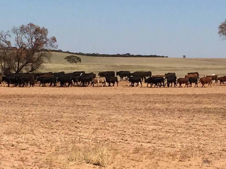 Chris Martin tweet media