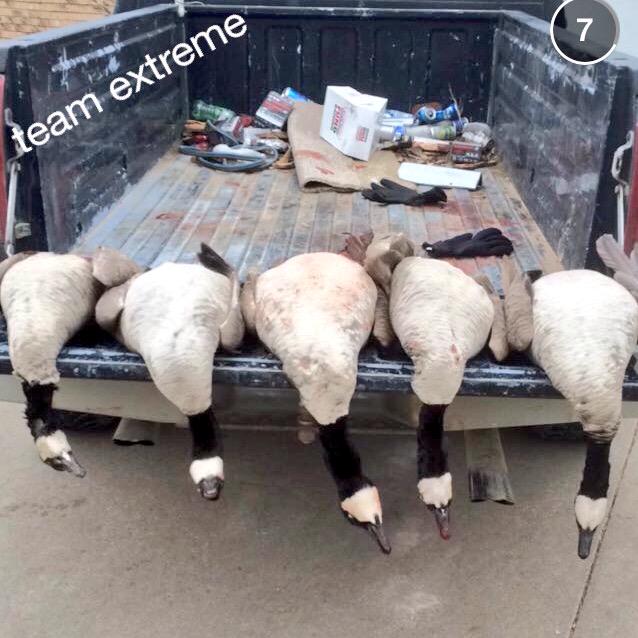 team_extremeVKS's tweet photo. Lil killin! #strokercity #hogs #benelli #lastday #youbetcha http://t.co/TwhxvAJNy3