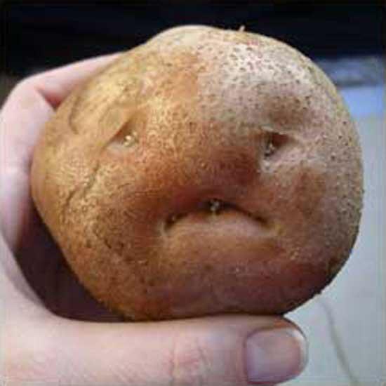 me right now --"@UglyFruitAndVeg: THE SAD UGLY POTATO #WheresTheMeat? 