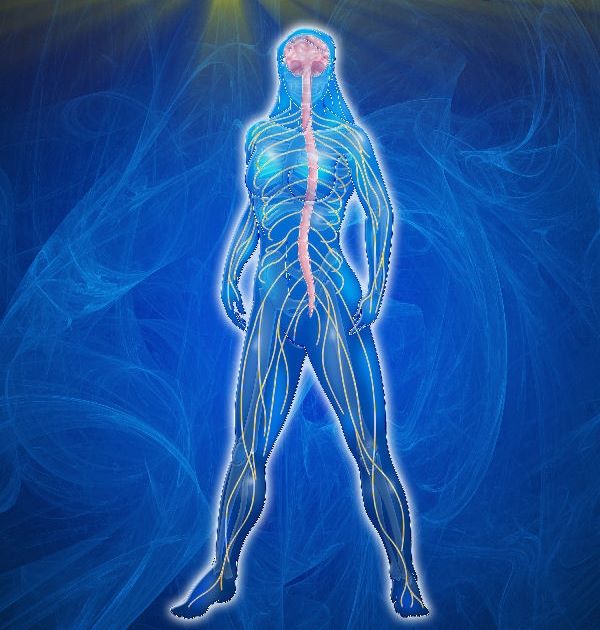 CancerDiaryRJK's tweet image. Our body is only where we stay.Our mind and soul are where we live.You are a Survivor! Available @Amazon like my page