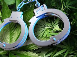 MME_DENVER's tweet image. #Decriminalizing marijuana makes sense

  delonline.us/1BHptOg  via @delawareonline
#marijuana #cannabis