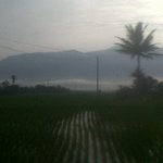Photo by Nyimas rani ramdani (@niranisa)