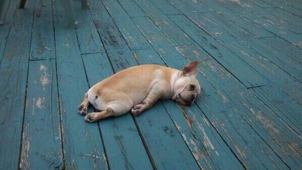 StumblerVideos's tweet photo. Today got me like http://t.co/GS1vWPPWEg