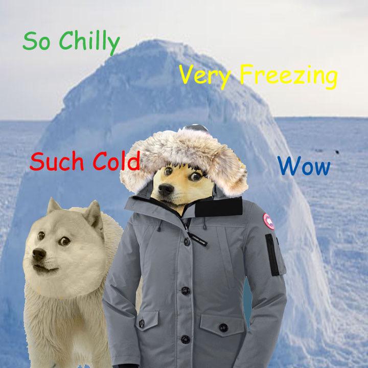 Donnie_tweets's tweet photo. Here's hoping for 12" of ice tonight! #ILoveIceStorms #MuchIce #VerySnow #DogeWinter http://t.co/sR2fsaks3r