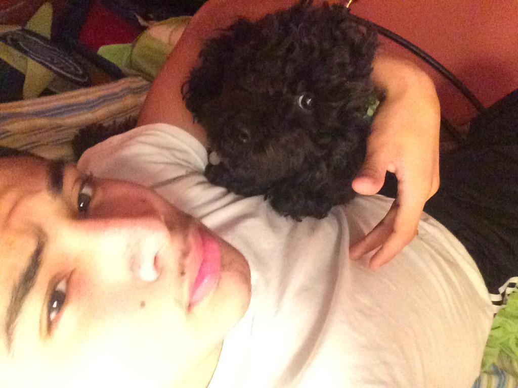 TheAnthonyAlava's tweet photo. Today she turned 3 which is 21 I think in Dog Years 😪😪 #SheGettingOld #MyBaby http://t.co/Mln8pC58yi