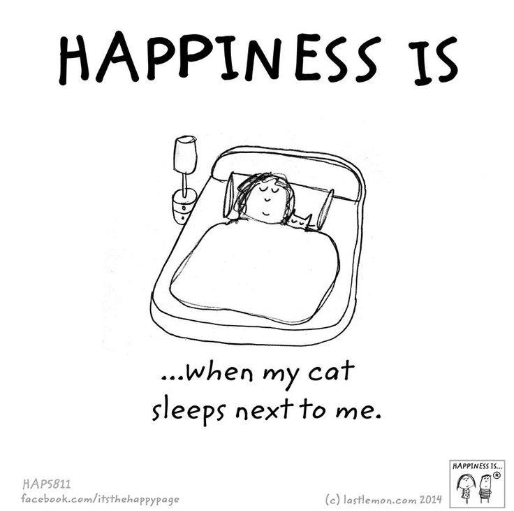 PawPrints2015's tweet photo. Happiness is: #leaveyourprint and let us know what your happy is! @LoyalistCollege @BellevilleON @TrentonDBIA http://t.co/eINFfoKxyo