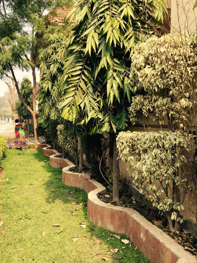 ShahparaSalim's tweet photo. #Lahore really windy and pleasant today #weather #updatepeople http://t.co/09YUar5jc5