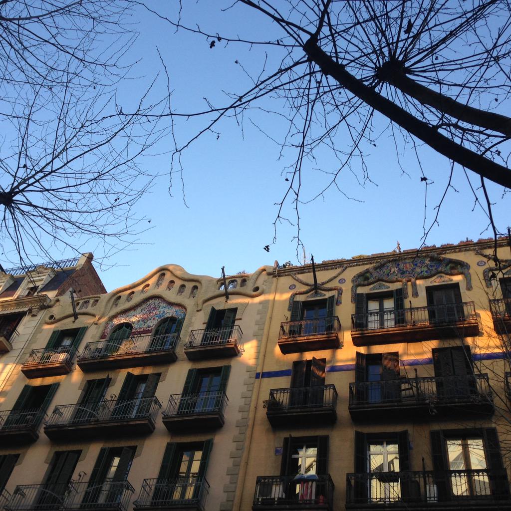 gacs__'s tweet photo. Buenos días!!y si miramos un poco más y descubrimos todo lo q nos está pasando desapercibido?! #Barcelona #sinfiltros http://t.co/NOV36l28gi