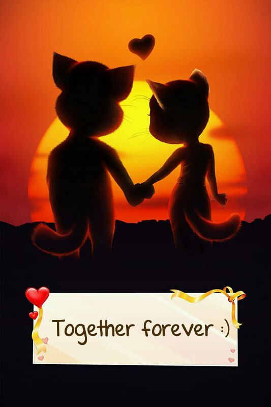 rnirquez's tweet image. Wow, this is so cute’s Love