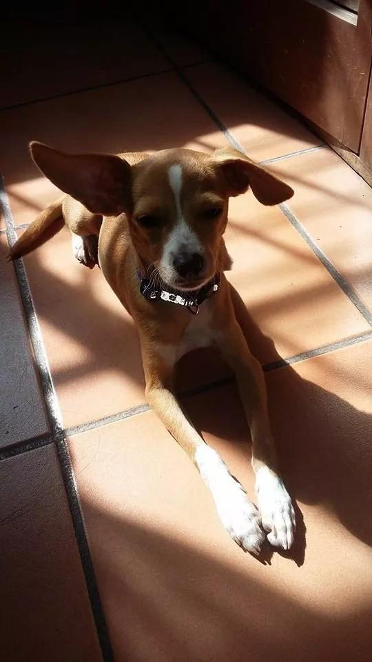 Gagogo88's tweet photo. Te extraño mucho mi bb hermoso http://t.co/sEUDIKjXB9